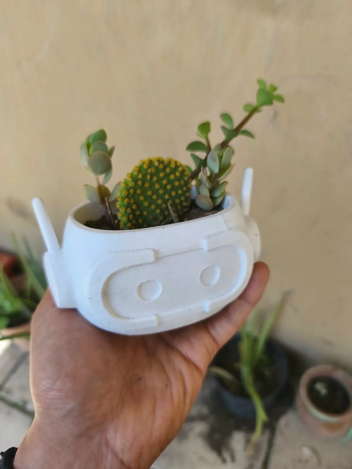 Maceta personalizada – impresión 3D en PETG, Crogrid Saltillo