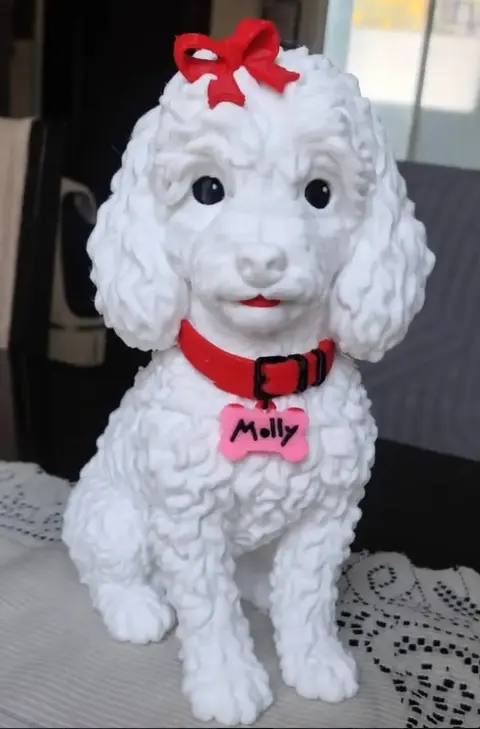 Urna personalizada para mascota – impresión 3D en PETG, Crogrid Saltillo (foto 2)