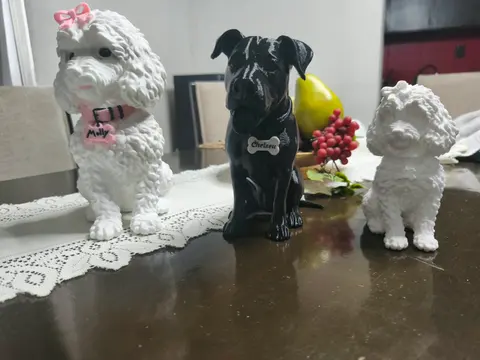 Urna personalizada para mascota – impresión 3D en PETG, Crogrid Saltillo (foto 1)